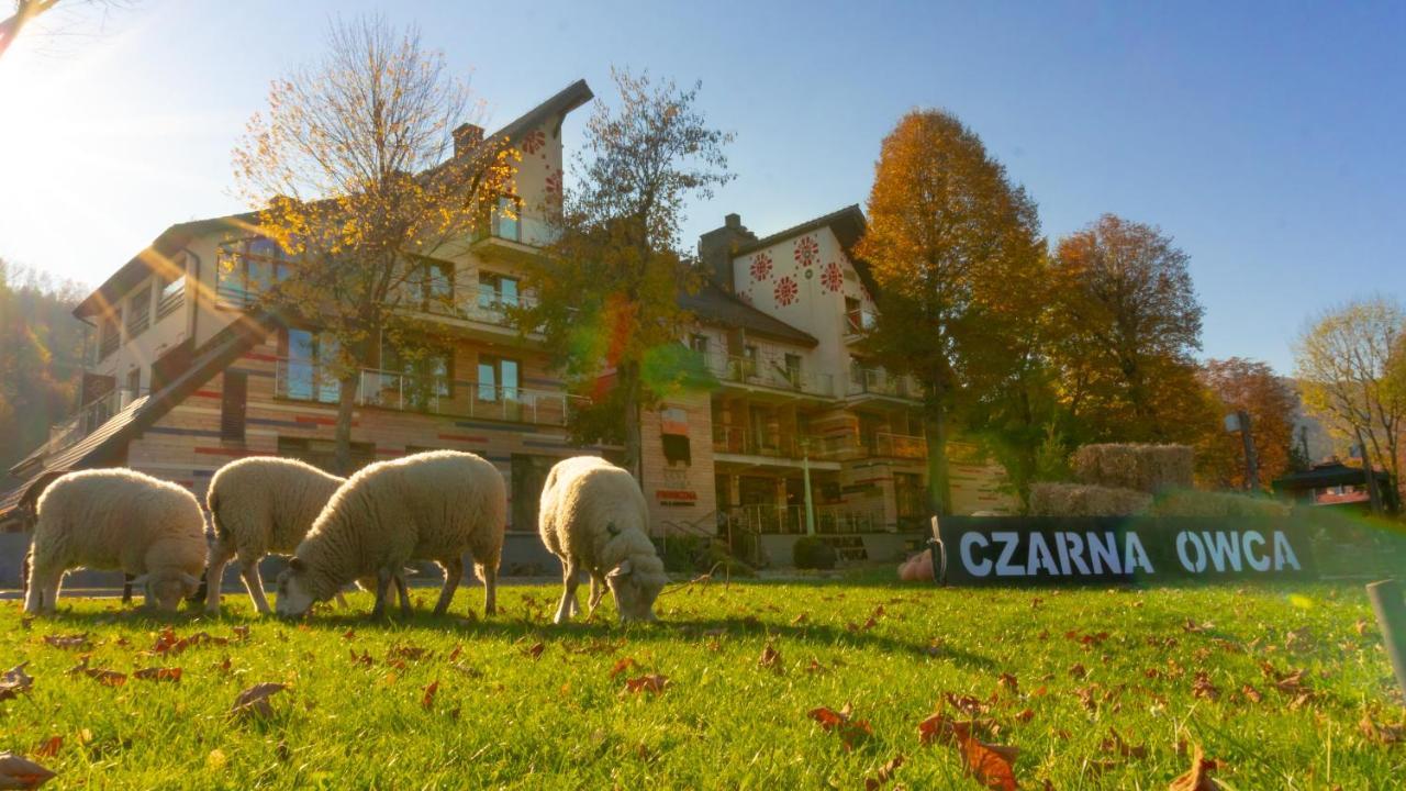 Hotel Piwniczna Spa&Conference Exterior photo